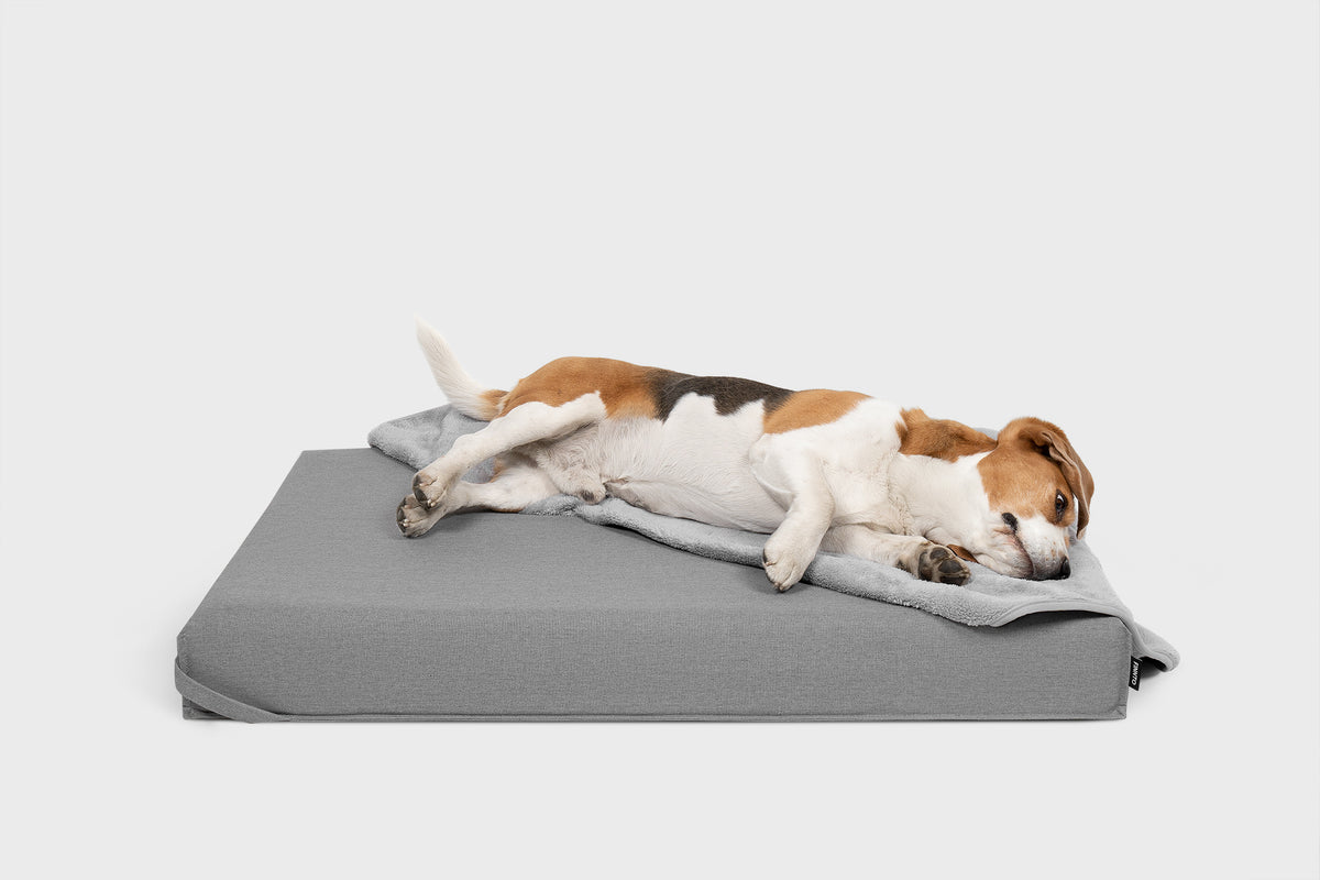 FINNTO Hundematte mit Beagle grau skandinavisches Design