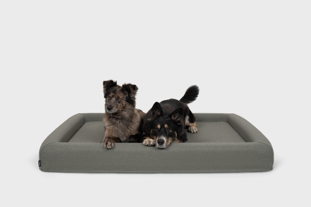 FINNTO Hundebett zwei Hunde Inspo