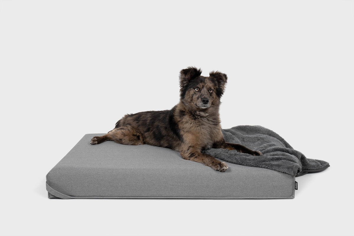 FINNTO Hundematte grau Hund Inspo