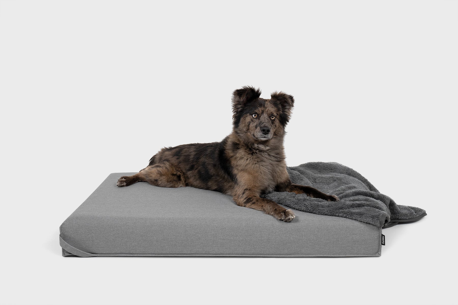 FINNTO Hundematte grau Hund Inspo