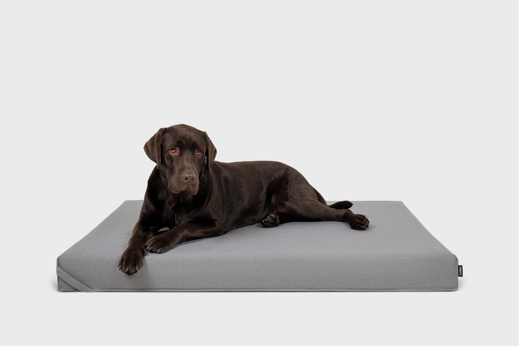FINNTO Hundematte grau Labrador