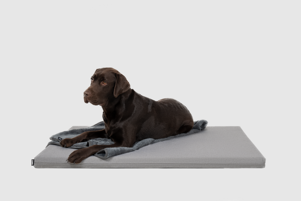 FINNTO Hundematte basic grau mit Labrador ergonomische Liegefläche