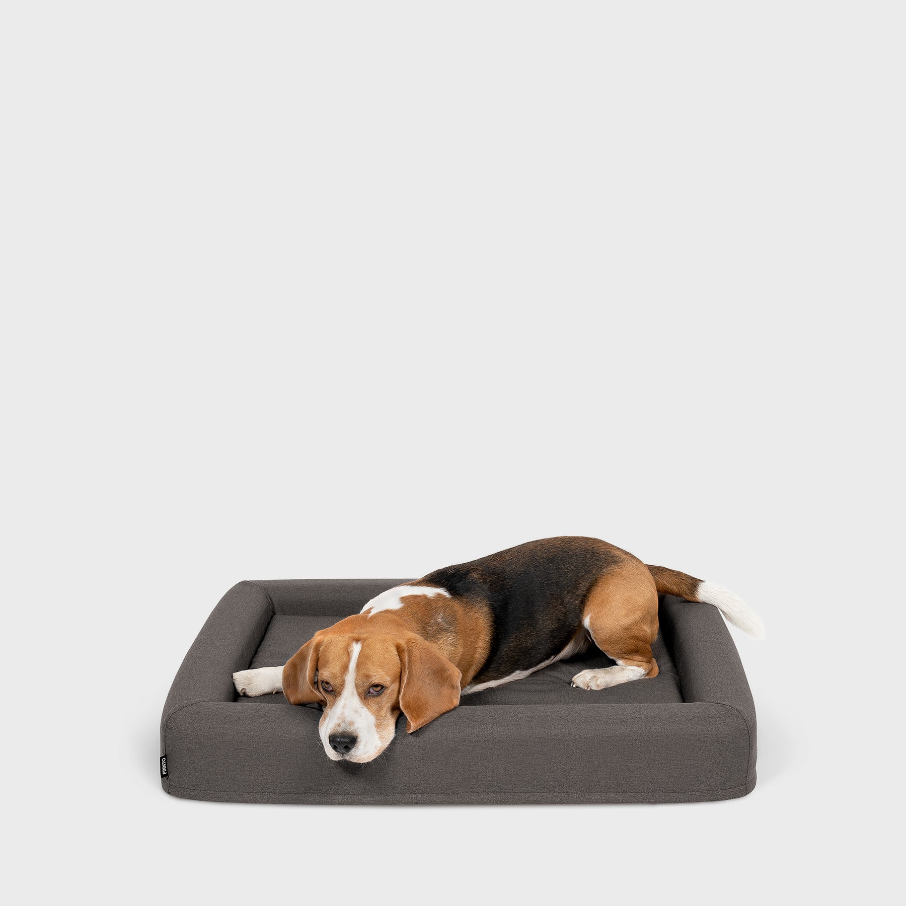 FINNTO Hundebett orthopädisch dunkelgrau Beagle skandinavisches Design