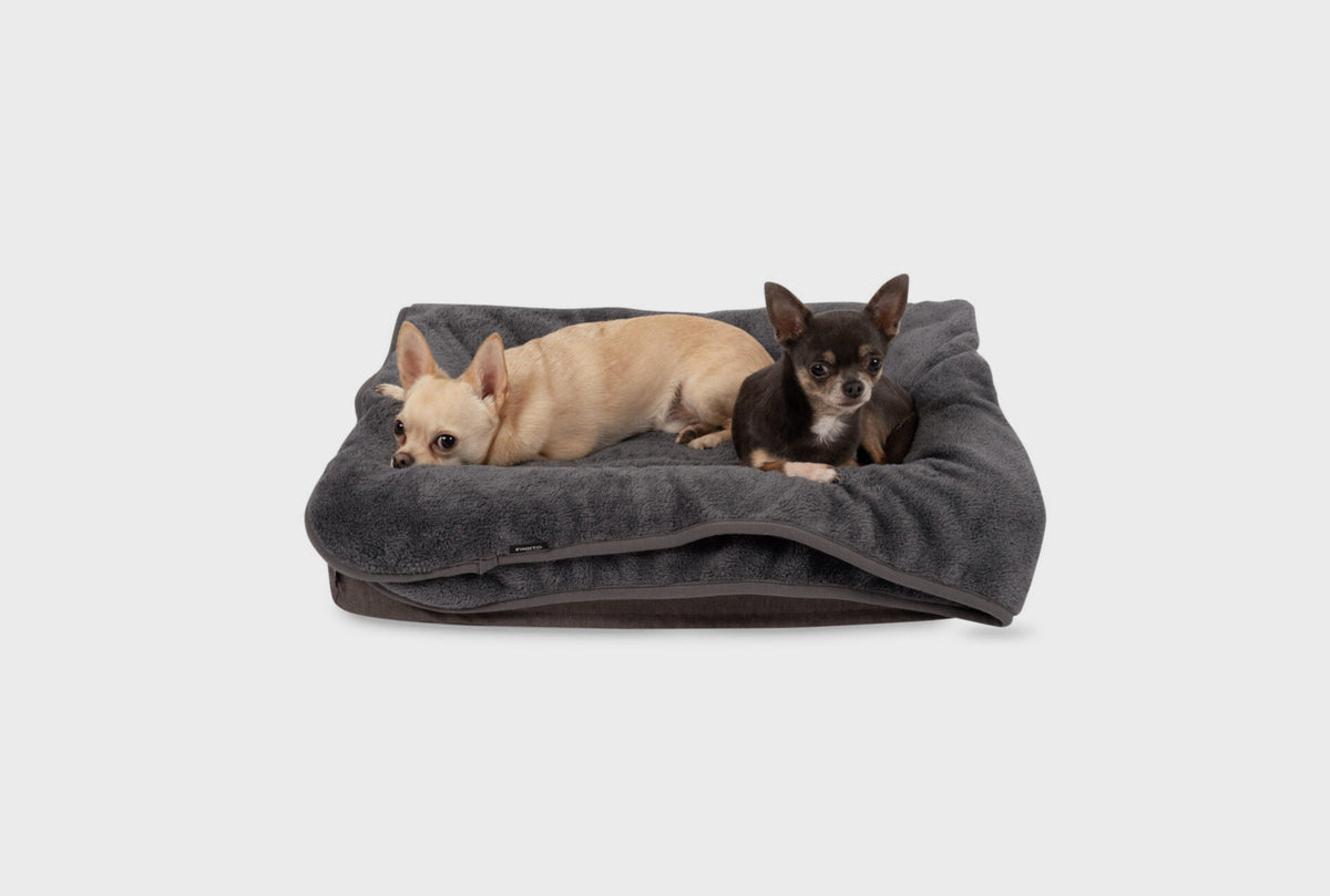 FInnto Hundedecke kuschelig zwei Chihuahuas