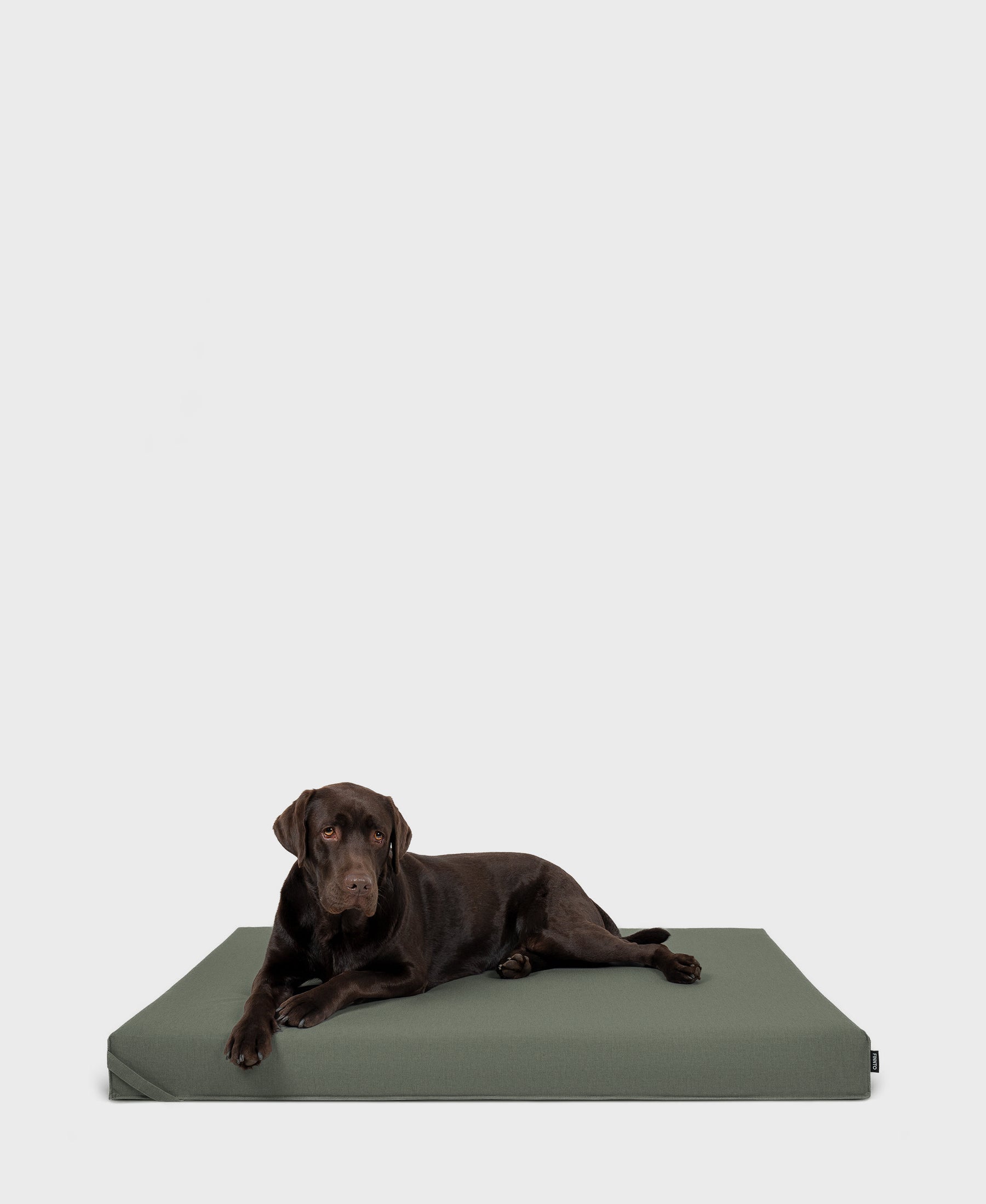 FINNTO Hundematte orthopädisch olive mit Labrador