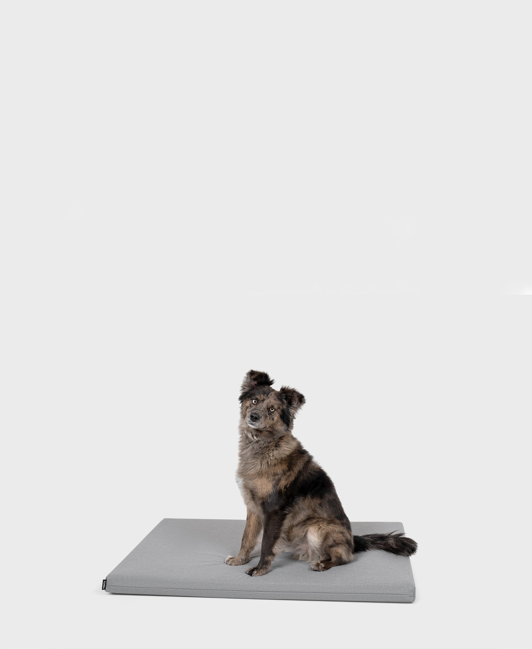 FINNTO Hundematte basic grau Hund sitzend hochwertig