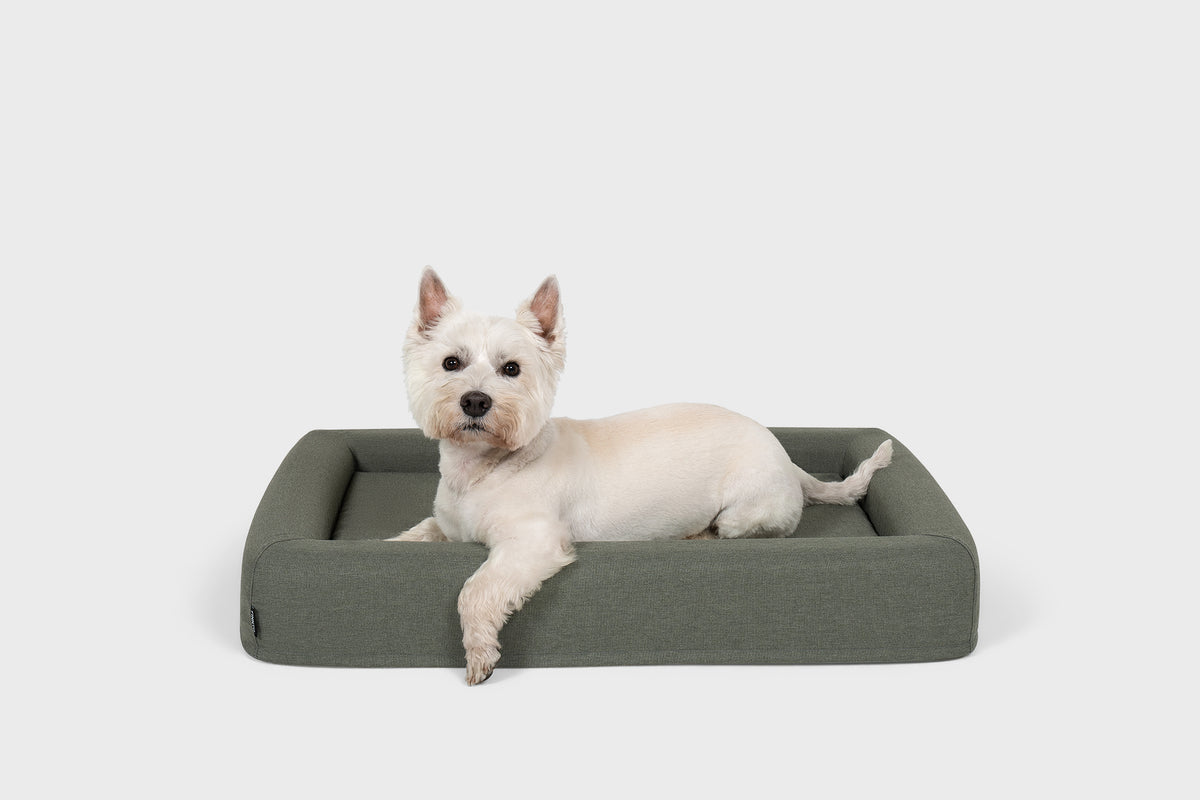 FINNTO Hundebett mit Hund Frage olive skandinavisches Design